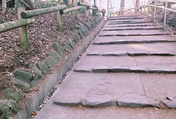 井の頭恩賜公園
