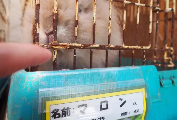 宝登山小動物公園