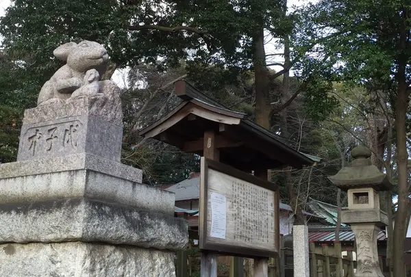 調神社の写真・動画_image_219261