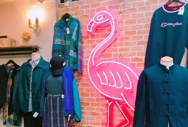 フラミンゴ京都店の写真・動画_image_219413