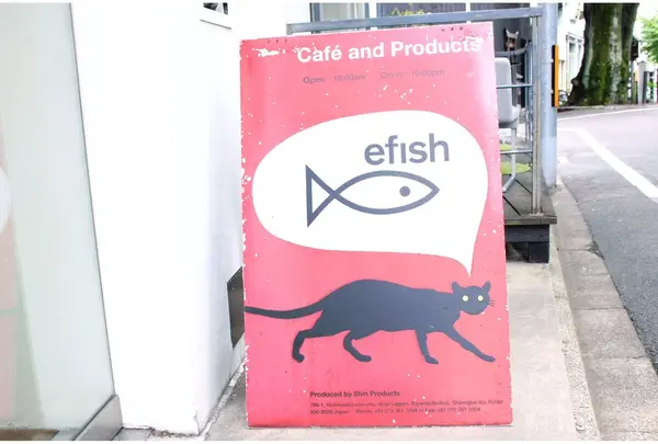 【閉業】efish（エフィッシュ）の写真・動画_image_219763