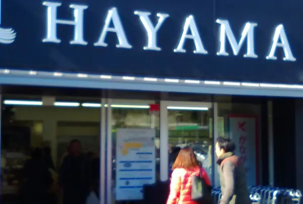 HAYAMA STATION