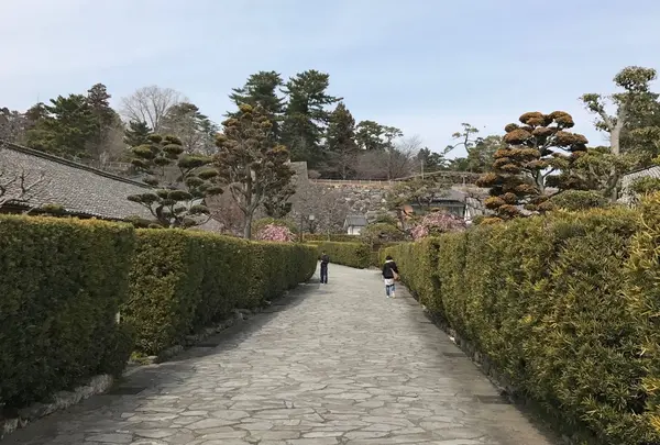 御城番屋敷の写真・動画_image_221110