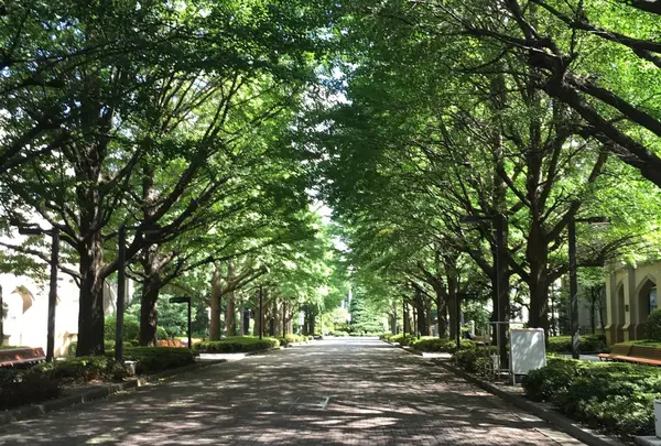 青山学院大学 青山キャンパス