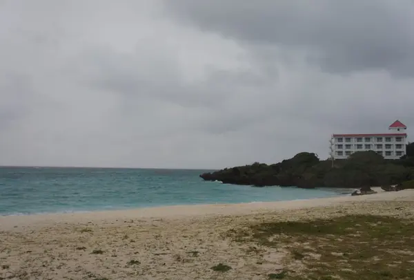 茶花海岸の写真・動画_image_221259