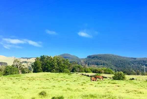 Waipio Valley