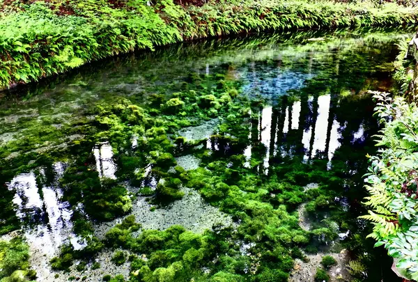 白川水源