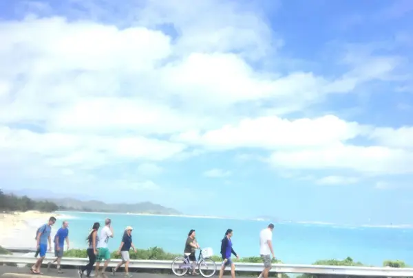 カイルアの写真・動画_image_221351