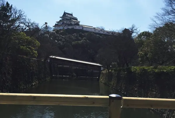 和歌山城の写真・動画_image_221370