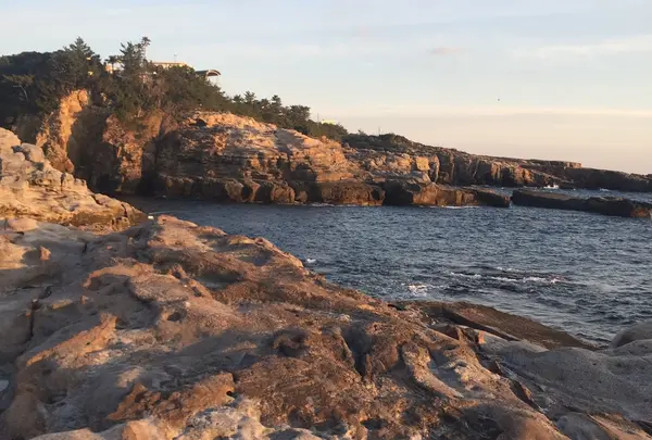 千畳敷の写真・動画_image_221372