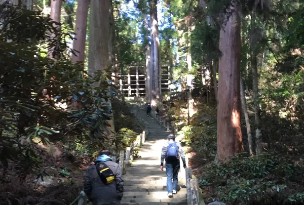 室生寺 奥の院の写真・動画_image_221943