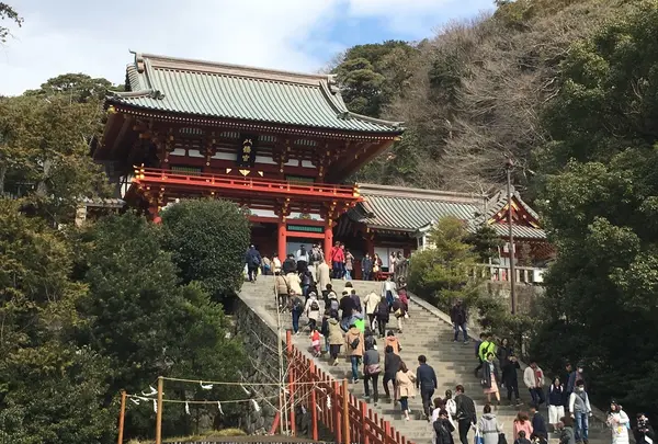 鶴岡八幡宮の写真・動画_image_222143