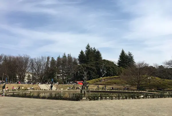 世田谷公園