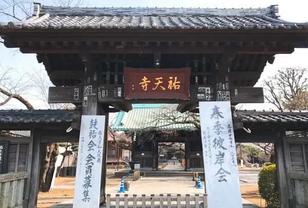 祐天寺の写真・動画_image_222448