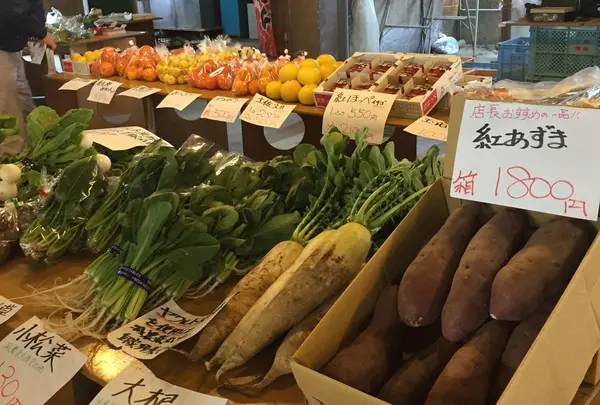 港の朝市の写真・動画_image_222624