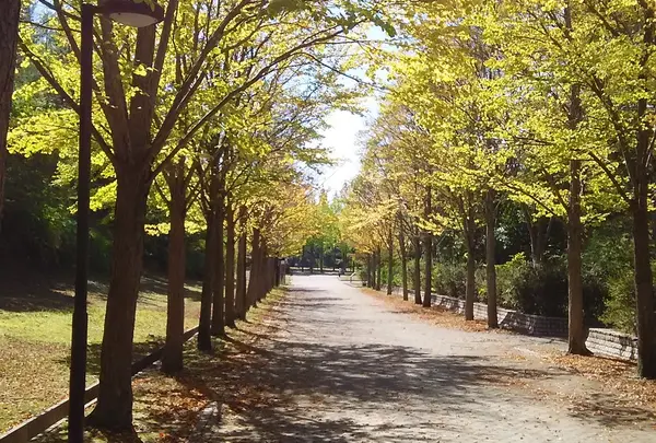 日本へそ公園の写真・動画_image_222756