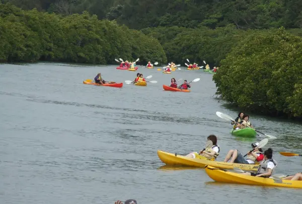 東村ふれあいヒルギ公園