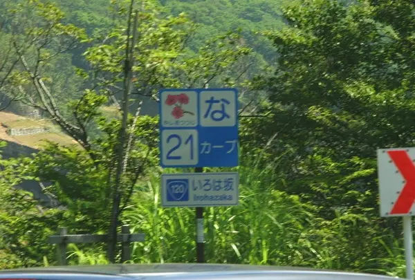 いろは坂の写真・動画_image_223601
