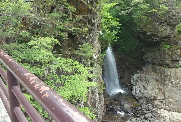 日光市の写真・動画_image_223608