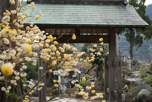 長興山紹太寺