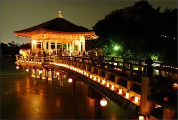 奈良公園 浮見堂の写真・動画_image_224980