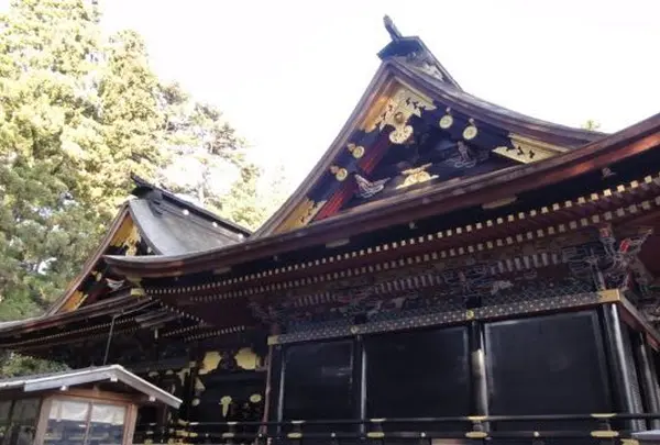 大崎八幡宮の写真・動画_image_225367