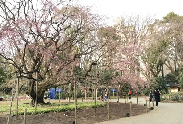六義園