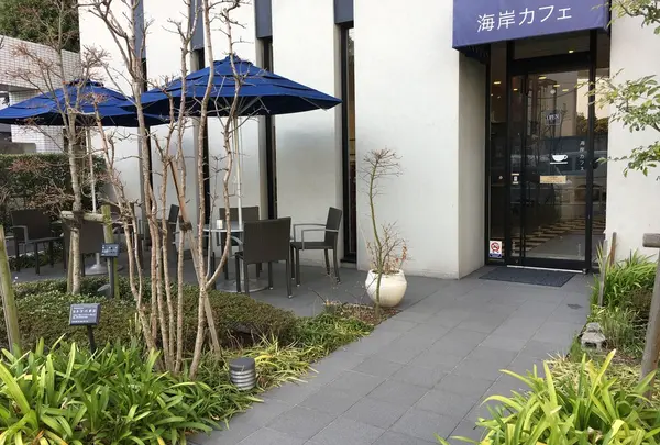 海岸カフェの写真・動画_image_225544