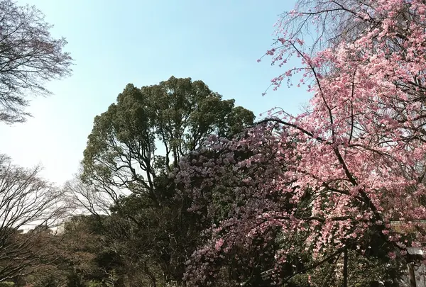 六義園