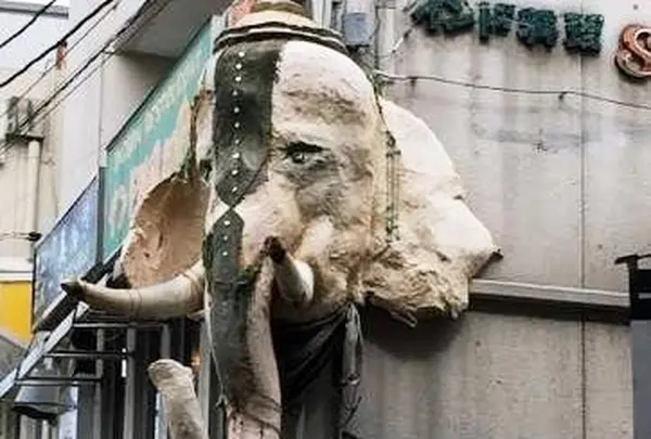 サプナ