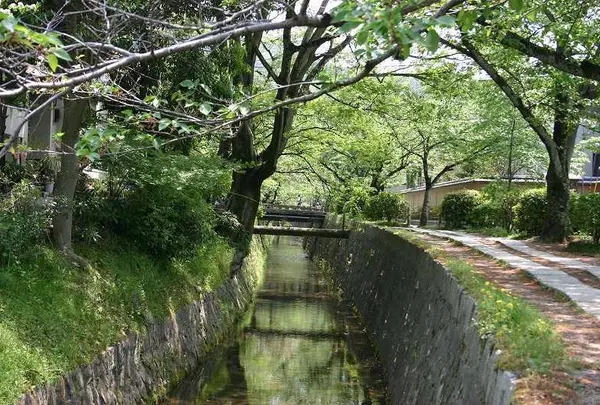 哲学の道