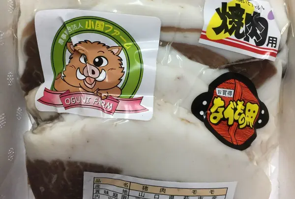 道の駅「うり坊の郷 katamata」