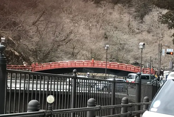 神橋の写真・動画_image_226571
