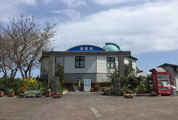 関崎海星館の写真・動画_image_226649