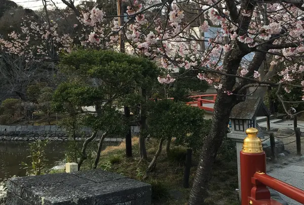 鶴岡八幡宮