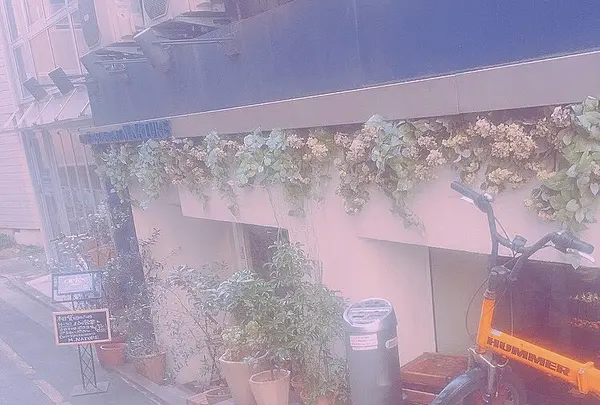 Cafe Restaurant M.Nature
