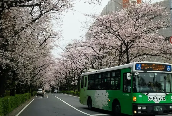 光が丘