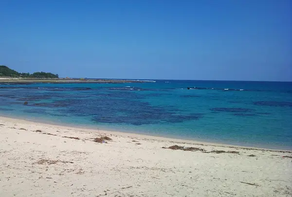 土盛海岸