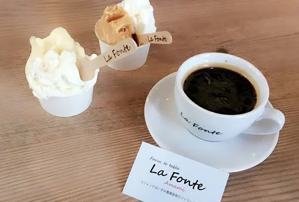 La Fonte