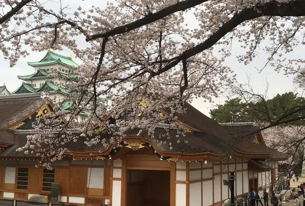 名古屋城