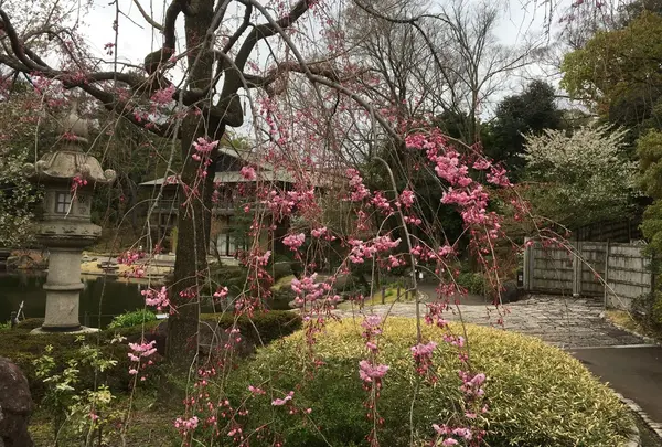 徳川園