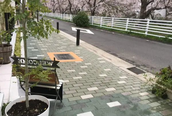 黒川の桜