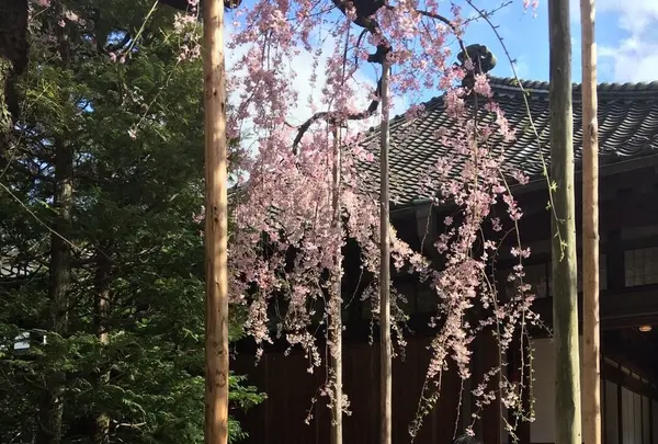 伝法院
