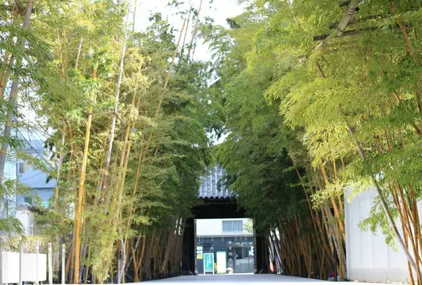 梅窓院