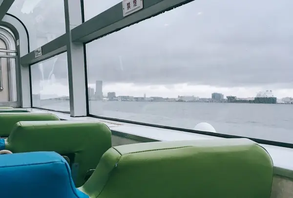シーバス