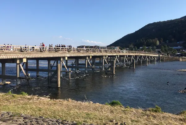 渡月橋の写真・動画_image_228105