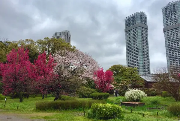 浜離宮恩賜庭園の写真・動画_image_228150