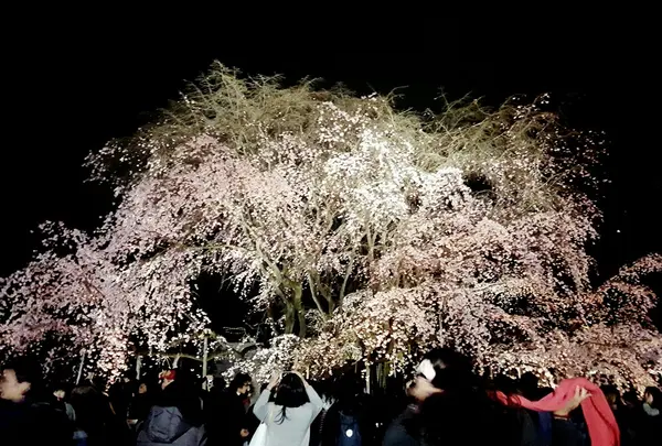 六義園