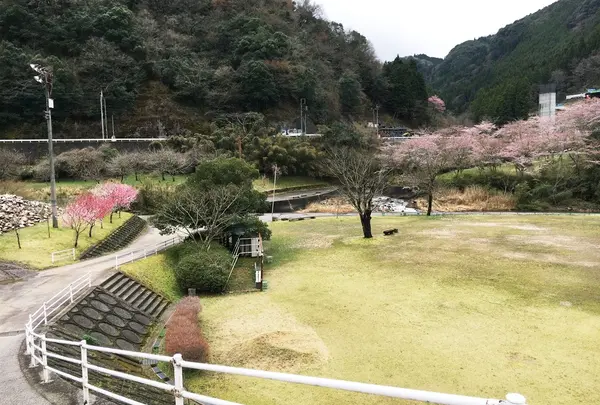 耶馬渓ダムスポーツ公園