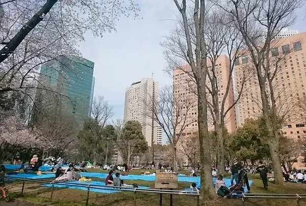 新宿中央公園